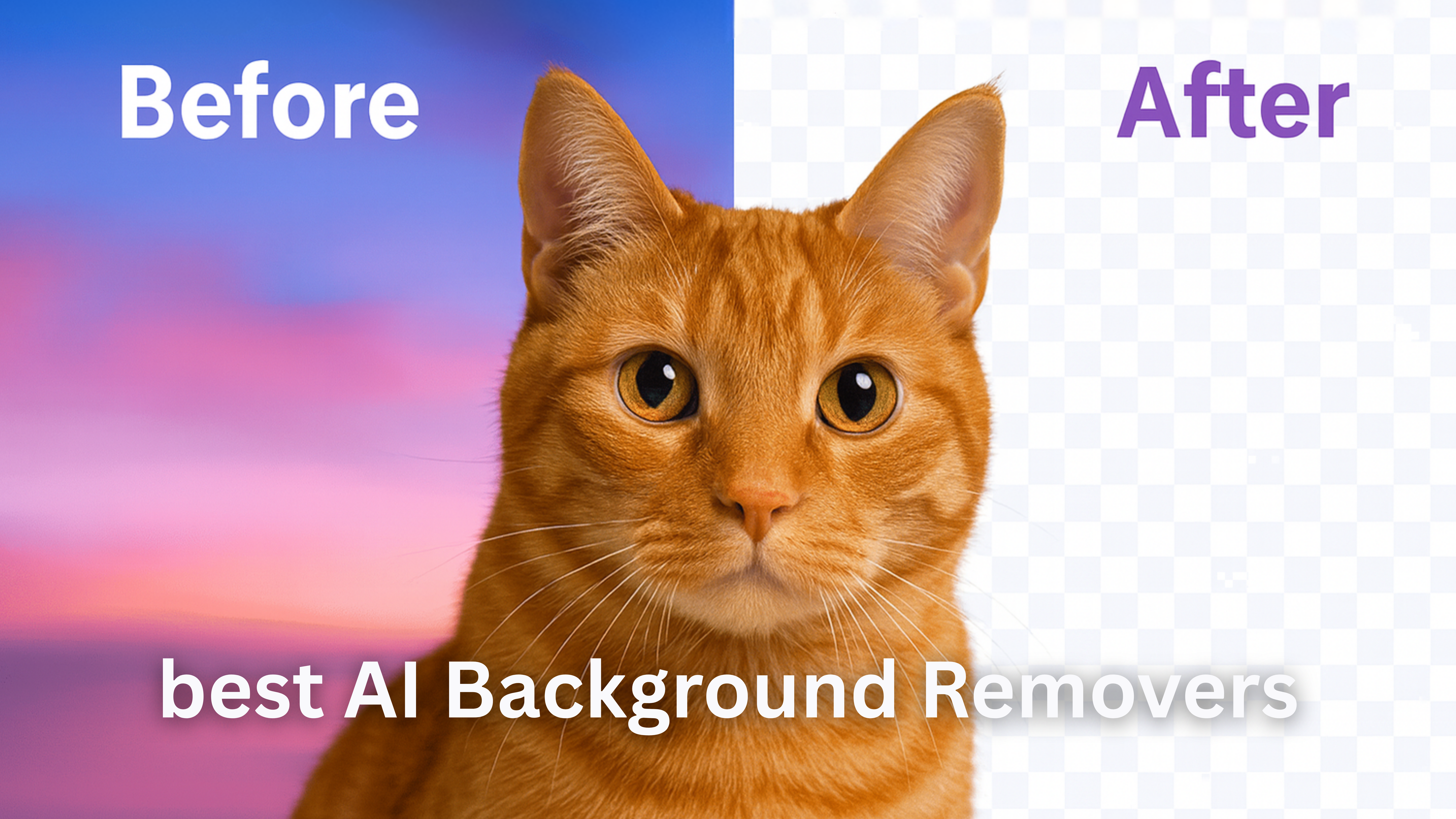 A side-by-side comparison image of an orange tabby cat. The left side labeled “Before” shows the cat in front of a colorful background, and the right side labeled “After” displays the cat with the background removed and replaced by a transparent checkerboard pattern. The heading reads “Best AI Background Removers.
